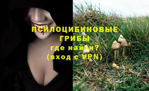 ECSTASY Богородск