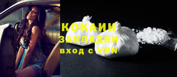 шишки Богородицк