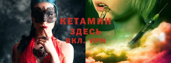 шишки Беломорск