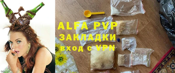 ECSTASY Богородск