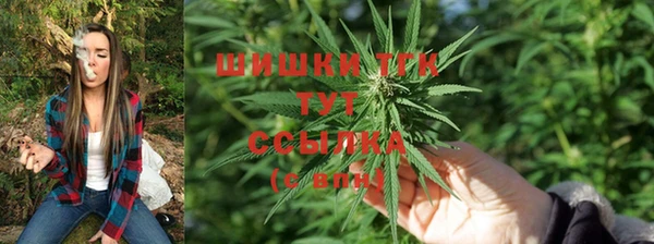 шишки Богородицк