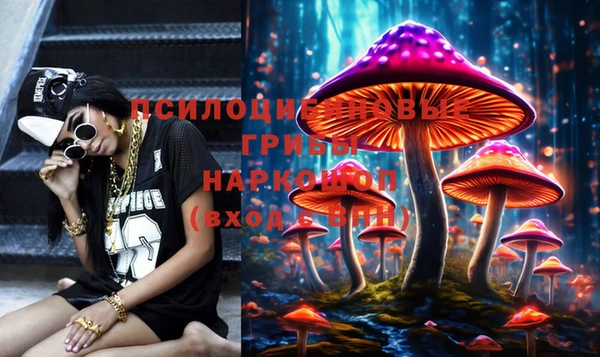 шишки Беломорск