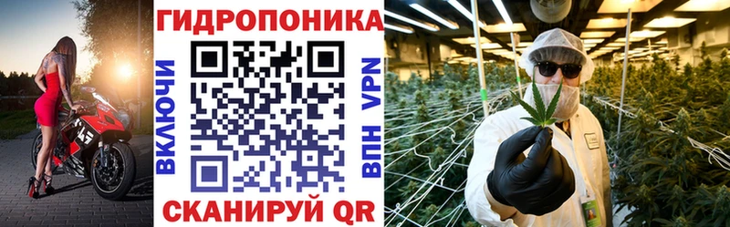 Бошки Шишки семена  Донецк 